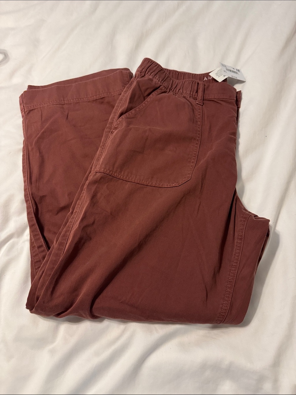 American Eagle Outfitters Wide-Leg Pants in Deep Rust